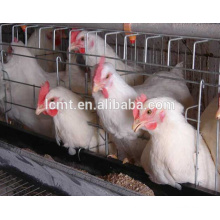 Cages de batterie de haute qualité pour le poulet de poulet des poussins aux poulets adultes